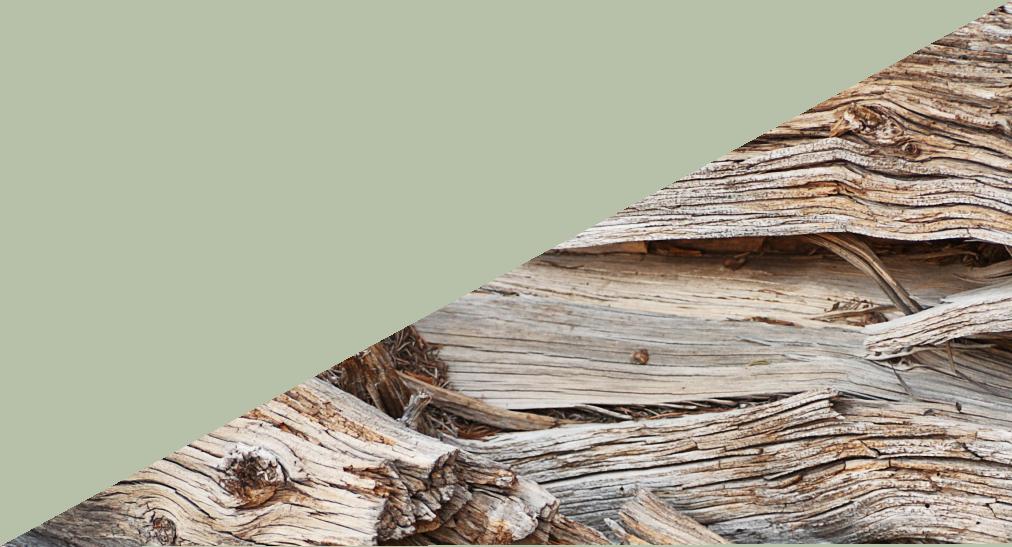 Wood in Carson Wilderness